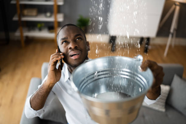 Best Sewage cleanup and water damage restoration  in Martha Lake, WA