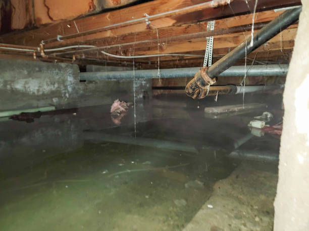 Professional Water damage restoration in Martha Lake, WA