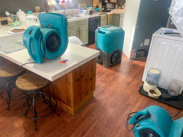 Best Residential water damage restoration  in Martha Lake, WA