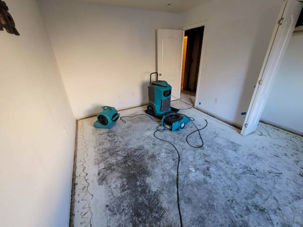 Carpet water damage restoration in Martha Lake, WA