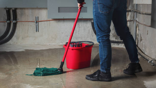 Best Flood damage cleanup  in Martha Lake, WA