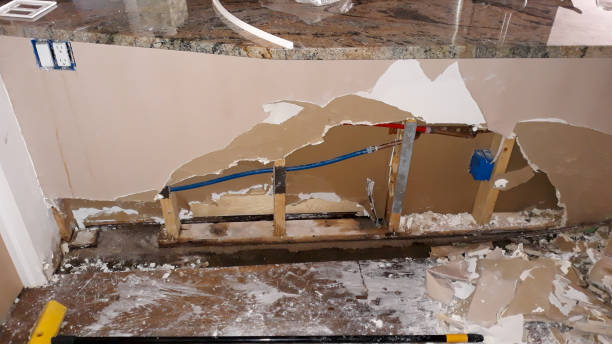 Best Professional water damage repair  in Martha Lake, WA