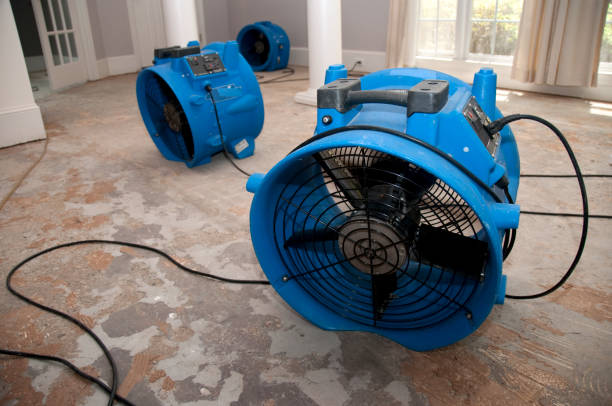 Best 24-hour water damage restoration  in Martha Lake, WA