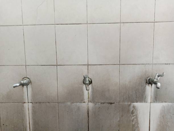 Best Flooded house restoration  in Martha Lake, WA