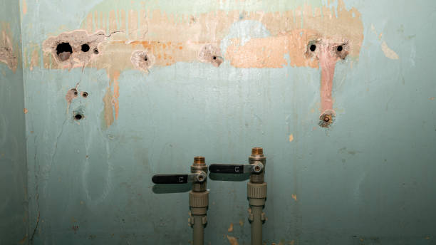 Best Water damage restoration near me  in Martha Lake, WA