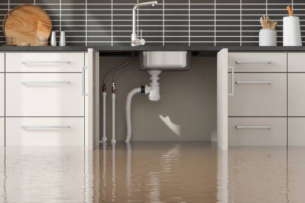 Best 24/7 water damage repair  in Martha Lake, WA