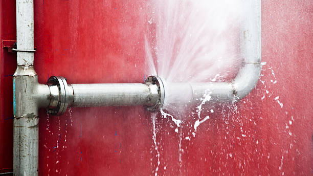 Best Carpet water damage restoration  in Martha Lake, WA