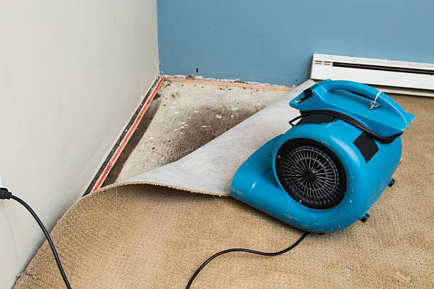 Best Emergency water damage restoration  in Martha Lake, WA